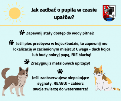 Jak zadbać o pupila w czasie upał&oacute;w